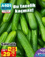 SALATALIK KG SALATALIK KG